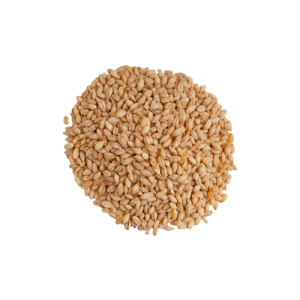 Organic Pearl Barley